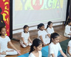 International Yoga day celebration year 24-25